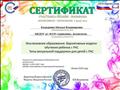 Сертификат участника онлайн - марафона "Инклюзивное образование " (2020)